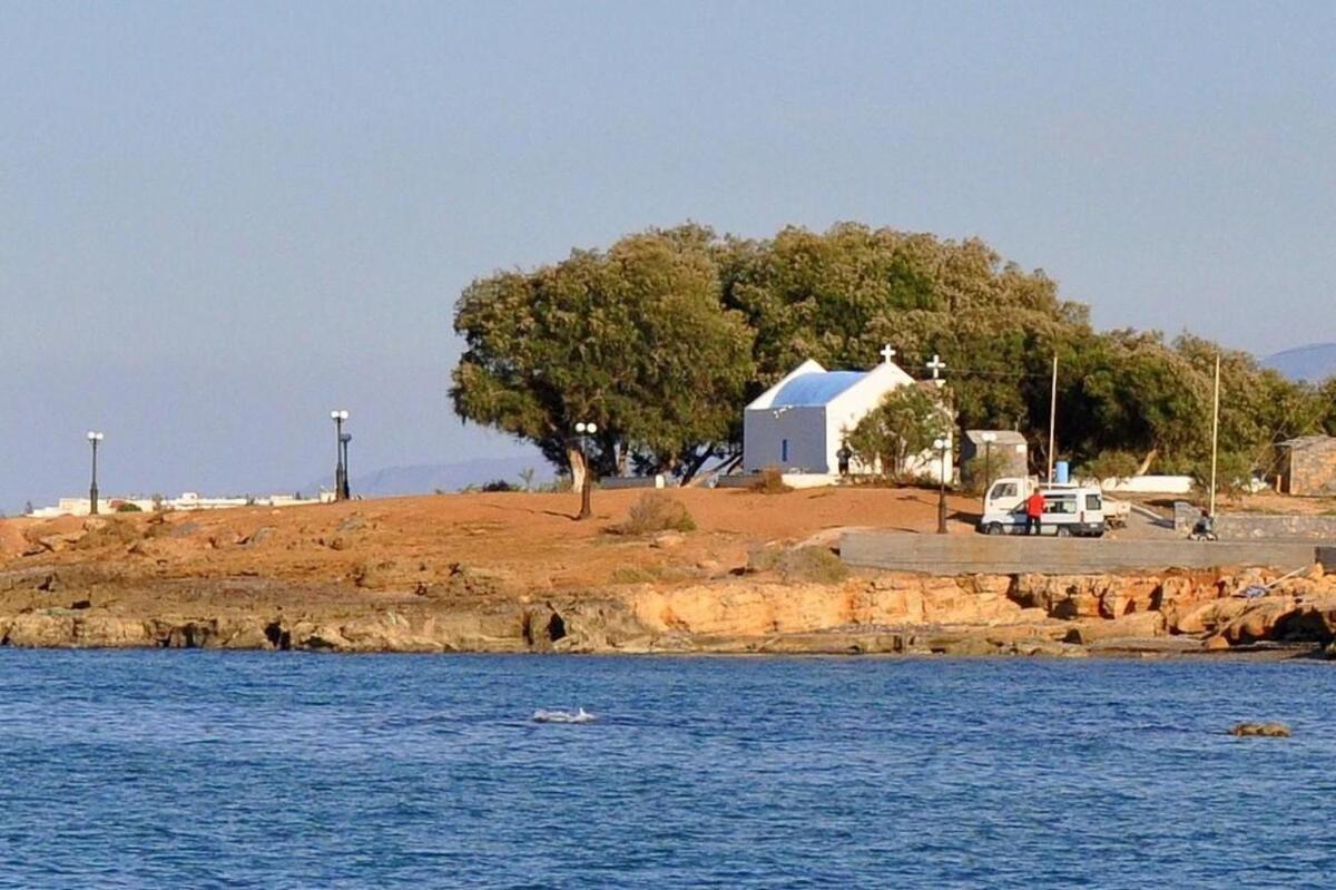 Villa Thalia Gouves Buitenkant foto